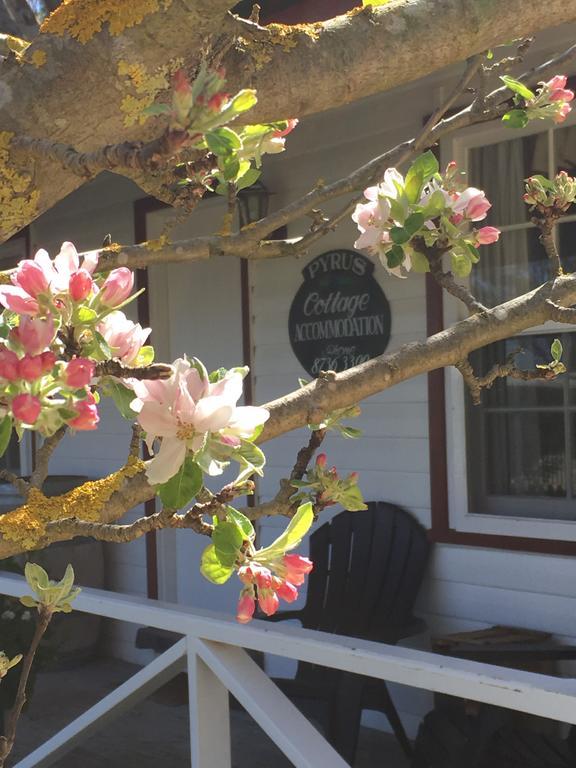 Coonawarra'S Pyrus Cottage Eksteriør billede